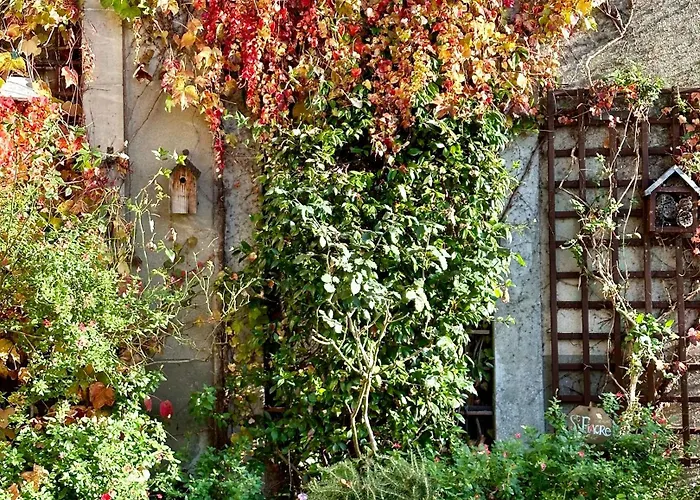 Logis Saint-FlaceauHotel Le Mans